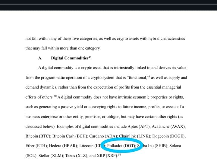 Polkadot Enters the SEC Conversation.
